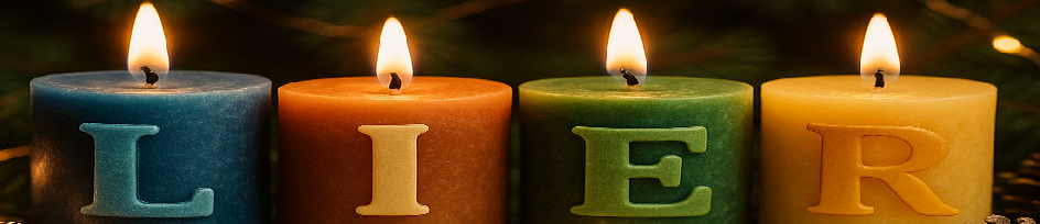 Lier Lagertechnik Handels-GmbH - Lier24 Homepage 