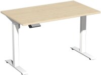 Elektro-Hubtisch höhenverstellbar,...