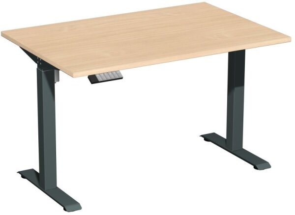 Elektro-Hubtisch höhenverstellbar, 1200x800x740-1175, Buche/Anthrazit